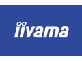 Iiyama